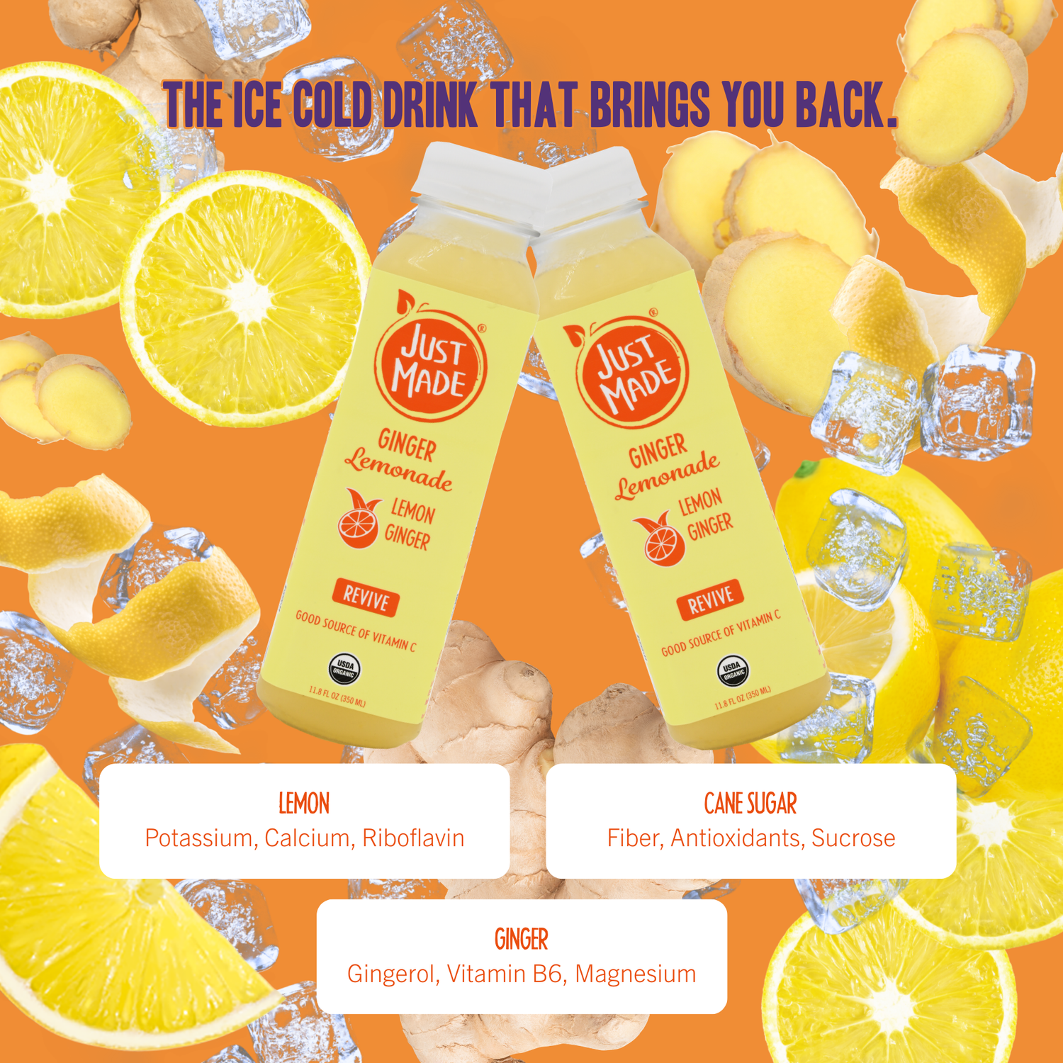 NEW!!! Ginger Lemonade | 8 CT